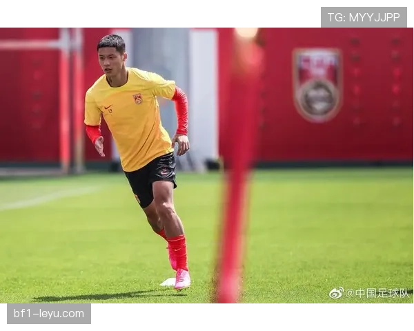 秘鲁国家队公布重建计划，全力提升国际竞争力引发期待